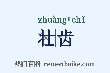 壮齿是什么意思的图片